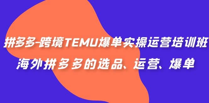 拼多多-跨境TEMU爆单实操运营培训班，海外拼多多的选品、运营、爆单-66免费源码网