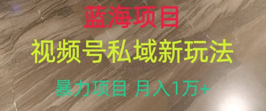 蓝海项目，视频号私域新玩法，暴力项目月入1万+【揭秘】-66免费源码网