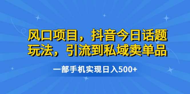 风口项目，抖音今日话题玩法，引流到私域卖单品，一部手机实现日入500+-66免费源码网